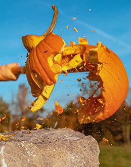 pumpkin smash nf size