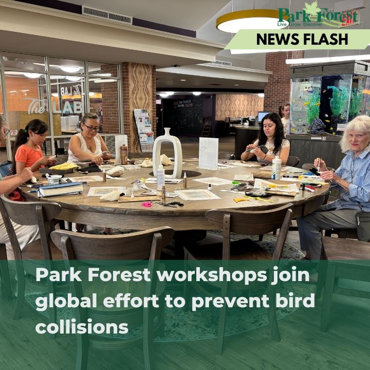 Clicking this image will take you to a story about bird collisions. 